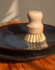 Dish Brush White Teakwood