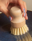 Dish Brush White Teakwood